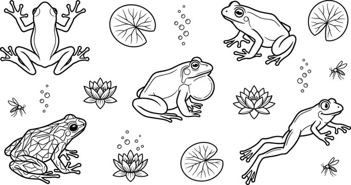 Pond wildlife vector icon set featuring line art frogs toad water lily lotus flowers lily pads croaking bullfrog and flying insects isolated on white background.