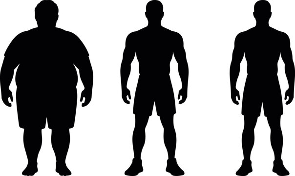 Human body type silhouette vector set with slim average and overweight male figures, Body size silhouette icons featuring different male physique types vector illustration