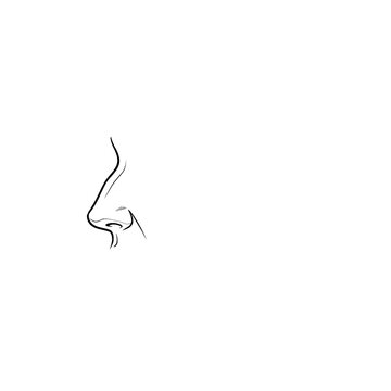 Hand drawn sketch of aquiline female nose on dummy head isolated on white background. Technical line art.