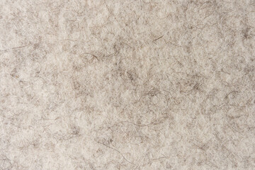 Close-Up Beige Felt Fabric With Pet Hair And Lint Texture Background For Cleaning Concepts © Richard