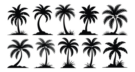 Fototapeta premium Collection of black silhouette palm trees isolated on transparent background for tropical design elements
