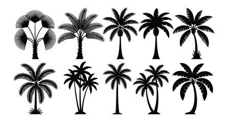 Fototapeta premium Collection of diverse silhouette palm trees for tropical and naturethemed designs