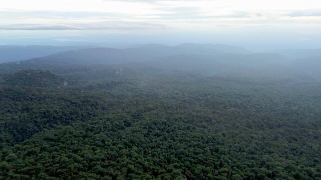 Wide Aerial View of Vast Tropical Rainforest in Ecuador with Hazy Mountain Ridges, Green Canopy and Remote Amazon Wilderness Background