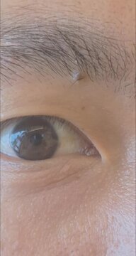 A high-resolution macro stock video detailing a human male brown eye iris, pupil reflections, and fine skin pore textures.