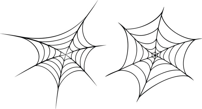 Spider Web Collection Line Art Vector Illustration Halloween Cobweb Set.
