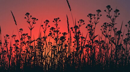 Dark plant silhouettes stand against a vibrant red sunset gradient sky. Wild grass and small flowers form a natural border on the horizon. Evening light creates a moody, serene atmosphere.