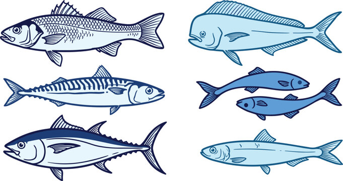 Blue Line Art Fish Species Set with Sea Bass, Mackerel, Tuna, Mahi Mahi, and Sardine Ocean Vector Illustration Design