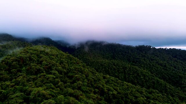 Misty Rainforest Ridge in Ecuador with Low Clouds, Green Mountain Forest, Soft Evening Light and Remote Andean Amazon Wilderness Landscape