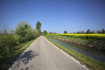 Naklejka premium Narrow road in the countryside