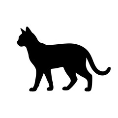 Black cat silhouette, feline icon, animal shape, pet design isolated on White Background silhouette © Ashika
