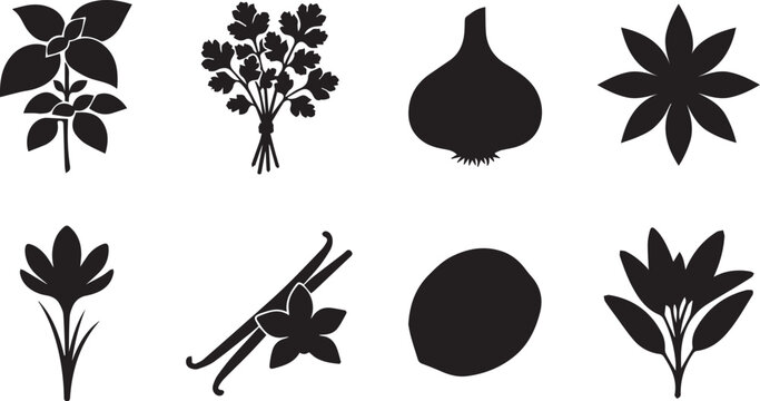 Culinary herbs and spices silhouette icon set including basil, parsley, garlic, star anise, saffron, vanilla pod, nutmeg, and ginger flower.