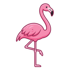 Fototapeta premium pink flamingo vector illustration