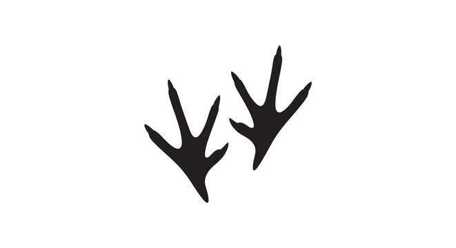 Bird Footprints In Black Silhouette avian footprint