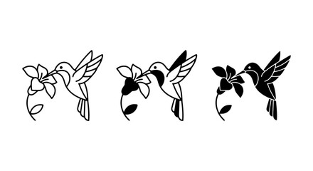 Elegant Hummingbird Vector Icons, Delicate Floral Designs, Nature Motifs, Minimalist Bird Illustrations, Black and White Line Art © Humaun