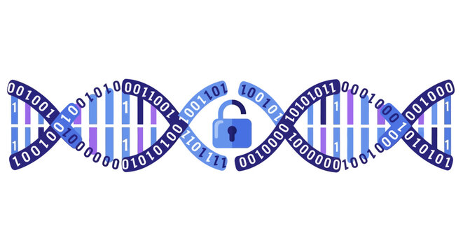 DNA Double Helix of Binary Code with Unlocked Padlock for Genetic Data Security and Biotech Privacy Concept