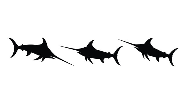 Hammerhead Sharks Silhouette Against White Background shark
