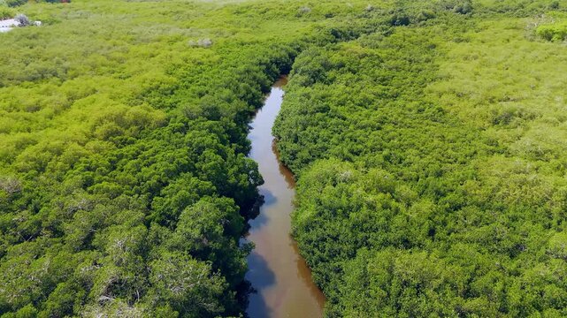Aerial view of Estero El Salado mangrove estuary with dense green vegetation and a winding river channel in Puerto Vallarta, Jalisco, Mexico.