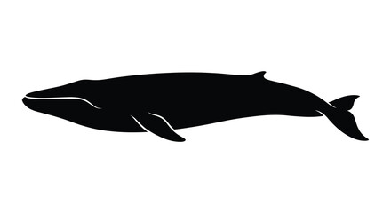 Obraz premium Whale Silhouette Against A White Background Minimalist Marine Animal Silhouette