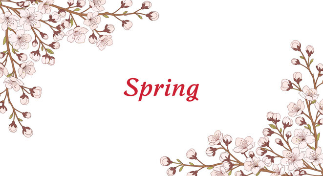Beautiful spring header is framed by delicate cherry blossom branches, creating a soft and airy feel for seasonal announcements.