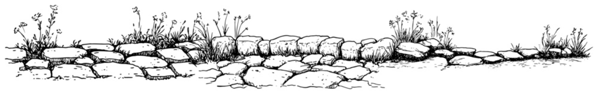 Stone rock border with wild grass and flowers in hand drawn sketch style