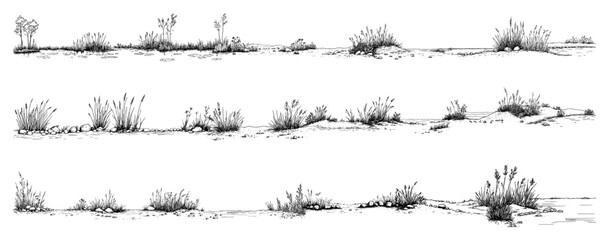 Wild grass and reeds on sand dunes landscape borders in sketch style © Kaz