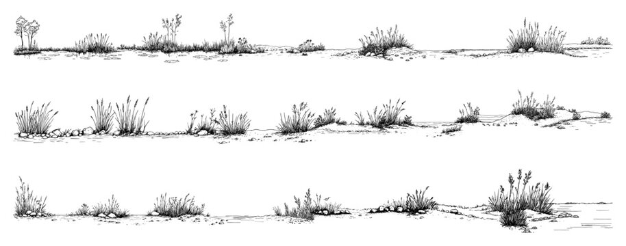 Wild grass and reeds on sand dunes landscape borders in sketch style