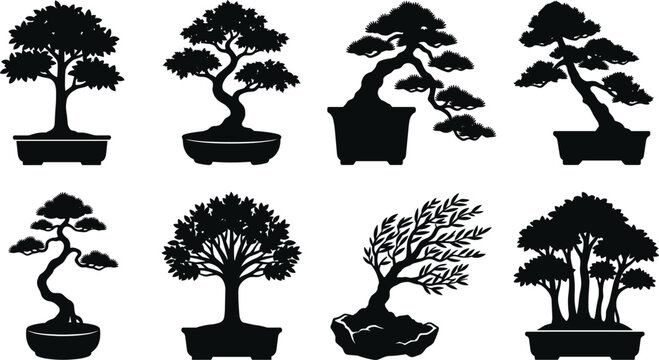 Bonsai tree black silhouette collection set isolated on white background for zen gardening and logo design