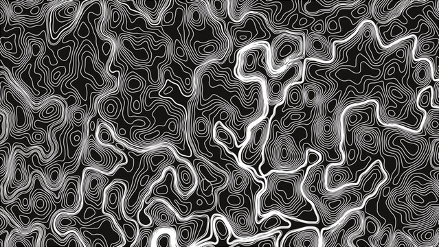 Topographic map pattern background vector. Abstract mountain terrain map background 
