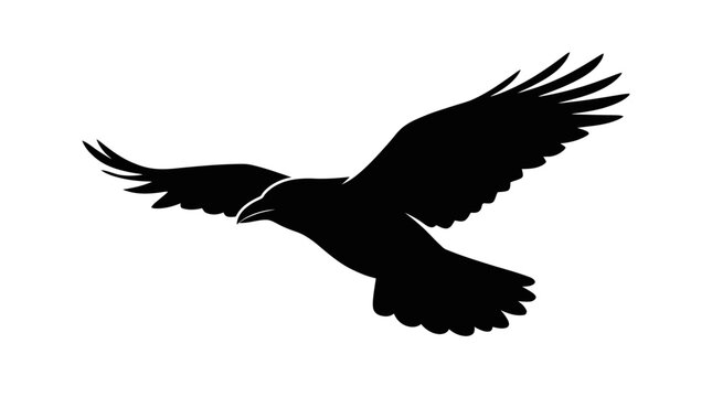Flying crow or raven silhouette against white background.