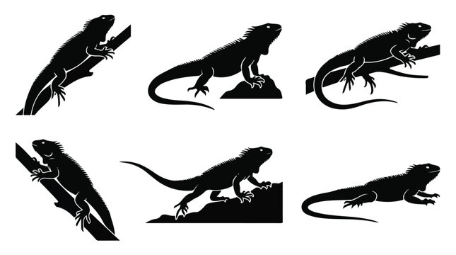 Silhouette of six iguanas in various poses
