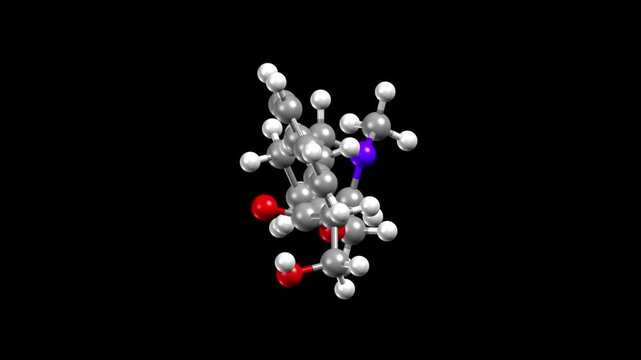 Structure of the antidote atropine.Animated 3D ball-and-stick and spacefill models, black background.
