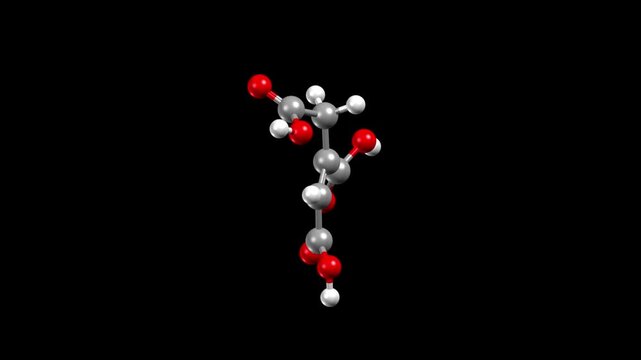 Structure of cis-aconitic acid, one of the intermediates formed during the citric acid cycle. Animated 3D ball-and-stick and spacefill models, black background.