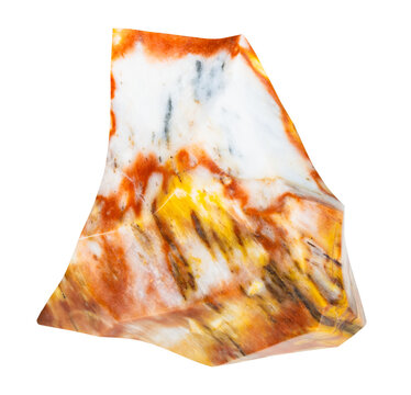 specimen of mineral from geological collection - polished belorechit rock isolated on white background from Altai Region