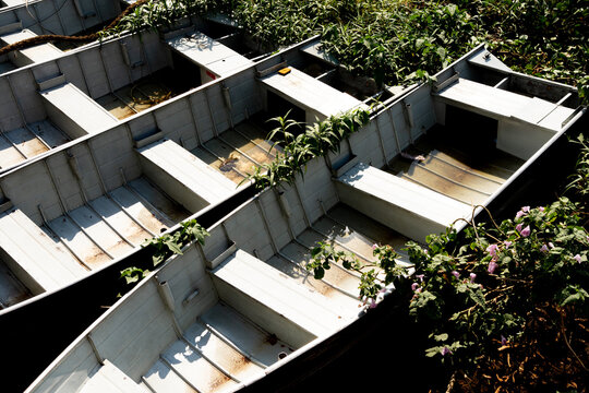 Abandoned Boats Overtaken by Vegetation
