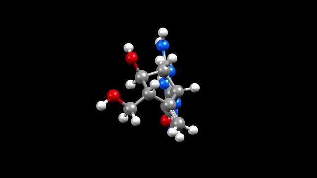 Structure of entecavir, an antiviral medication for hepatitis B. Animated 3D ball-and-stick and spacefill models, black background.