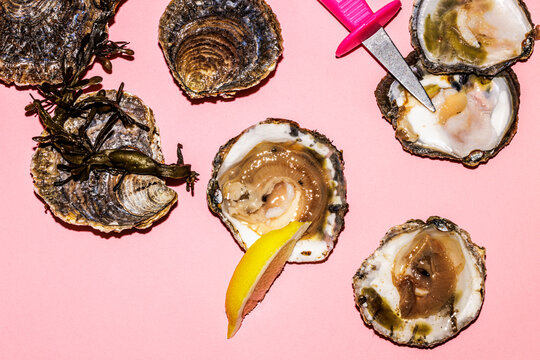 Oysters on a pink surface