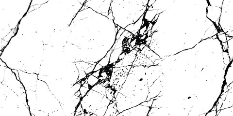 Obraz premium Abstract black and white marble stone texture with natural cracks and veins pattern