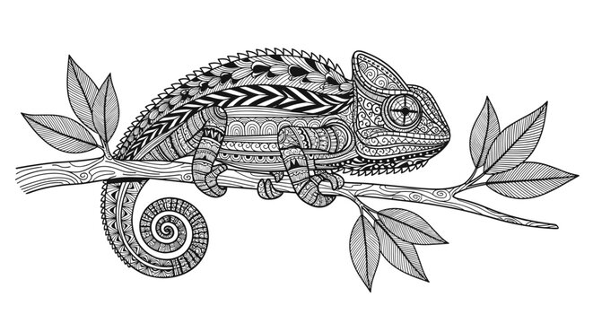 Highly detailed black and white zentangle chameleon on a tree branch coloring page for adults vector illustration.
