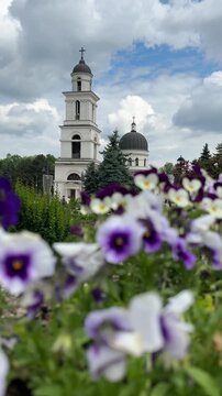 The Cathedral of the Nativity of Christ in Chisinau. An Orthodox church, a Christian shrine. Blooming trees surround it. Moldova. 