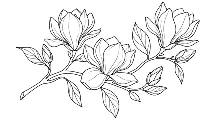 Elegant magnolia flower line art vector, blooming floral branch with leaves, minimalist botanical black and white illustration for wedding invitations © Rafay