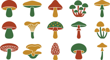 Set of colorful mushrooms icons and vector illustrations of various forest fungus types © azad