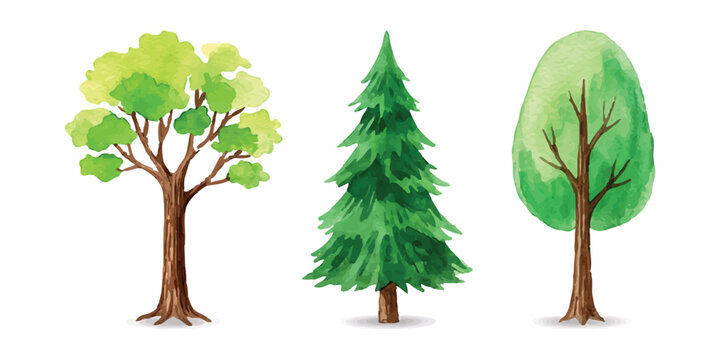 Set of three colorful cartoon trees including deciduous and evergreen pine styles