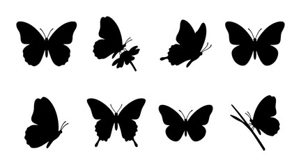 Butterfly Silhouettes, Insect Vector Icons, Nature Graphics, Winged Creatures Collection © Sozib