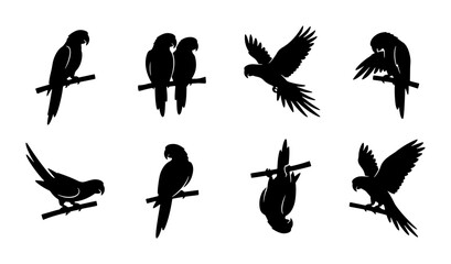 Parrot Silhouettes Collection, Tropical Bird Vector Icons, Exotic Avian Graphic Elements © Sozib