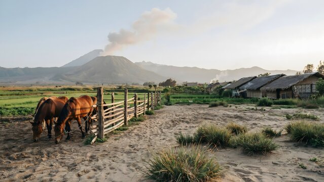 Java landscape horses grazing near traditional village with volcanic mountain backdrop