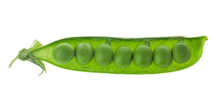 Green peas isolated on white background.