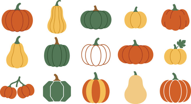 Set of colorful autumn pumpkins and gourds icons for harvest festival and thanksgiving holiday