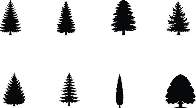 Evergreen Conifer Tree Silhouette Vector Collection Featuring Pine Spruce Fir Cypress and Deciduous Trees for Landscape Design