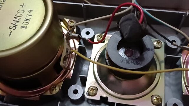 Details of speaker repair process with inspection of components and wiring