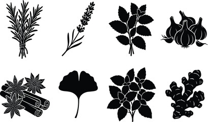 Set of culinary herbs and spices silhouettes including rosemary lavender mint garlic star anise ginger isolated on white © MstRowshan